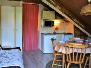 Studio 4 pers avec balcon - Animaux admis - Parking gratuit - FR-1-330-131